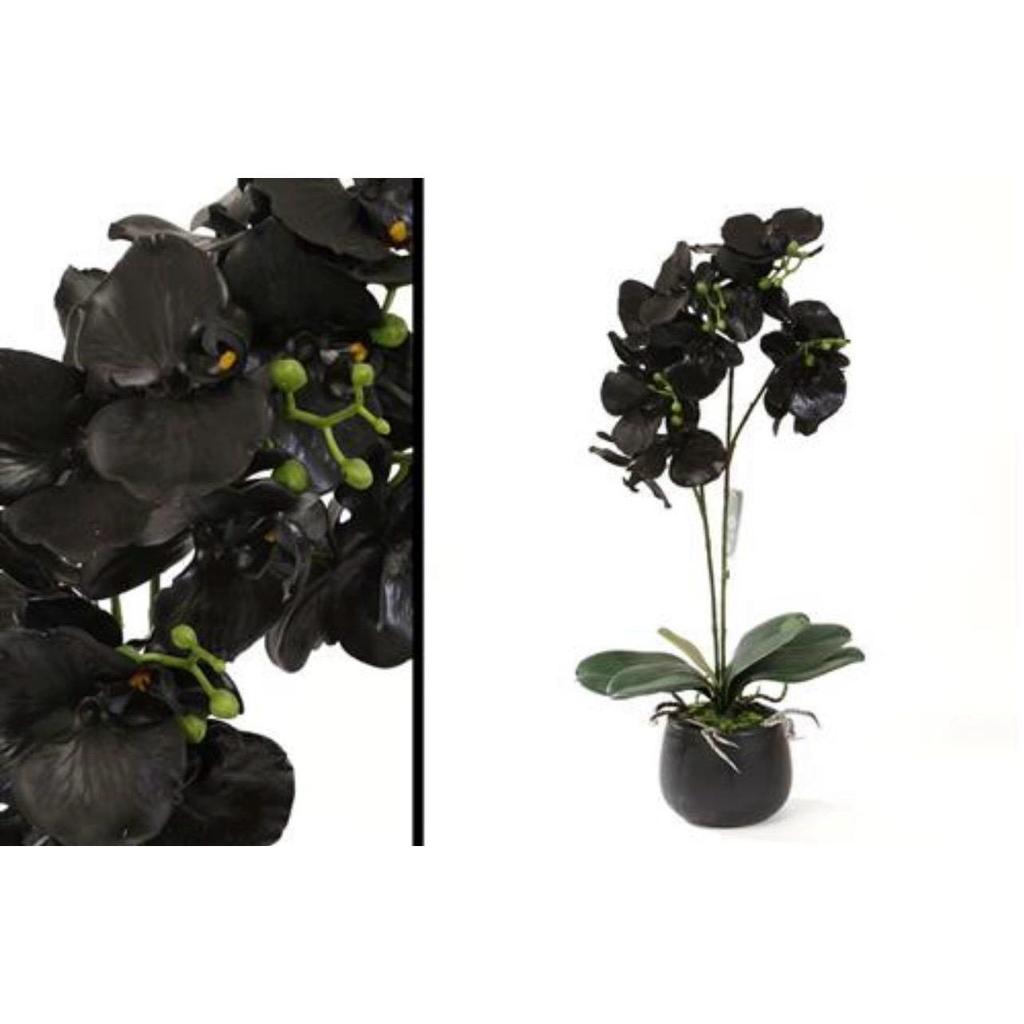 עציץ סחלב מלאכותי עשוי סיליקון בגוון שחור 58CM