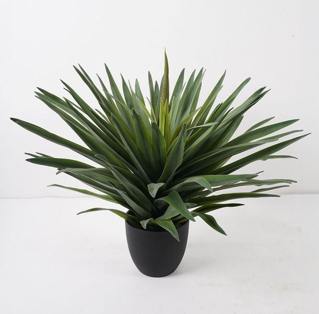 עציץ אגבה מלאכותי בעיצוב מרשים בצבע ירוק 50CM