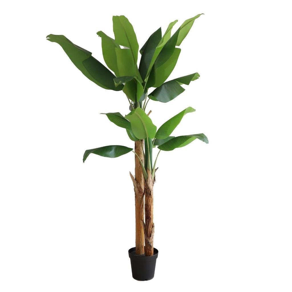 עץ מלאכותי בעיצוב עלים ירוקים מיוחדים 220CM