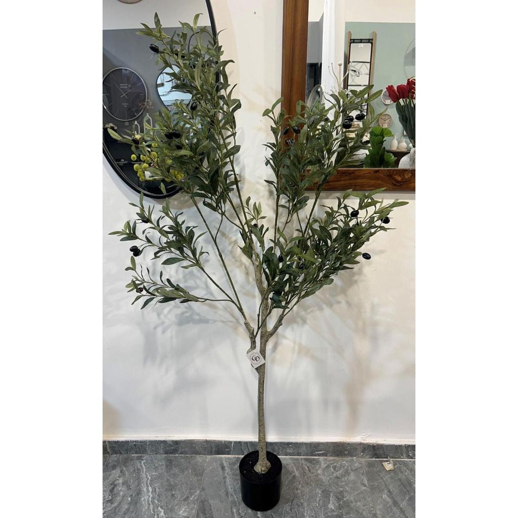 עץ זית מלאכותי מעוצב עלים בצבע ירוק יוקרתי 150CM
