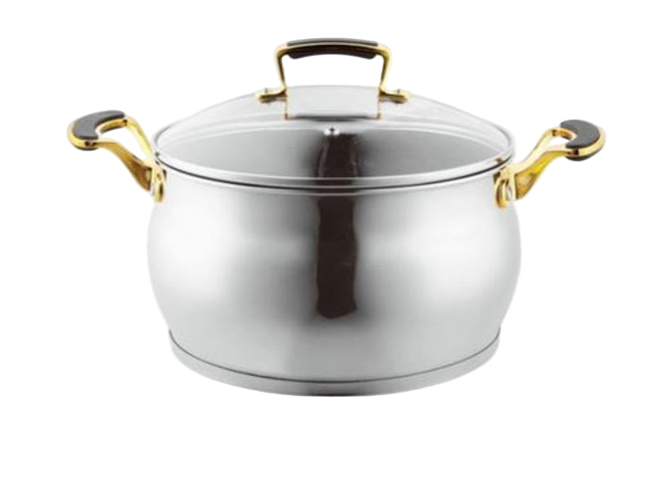 סיר נירוסטה בציפוי נון סטיק בצבע כסף וידיות זהב 9.8L