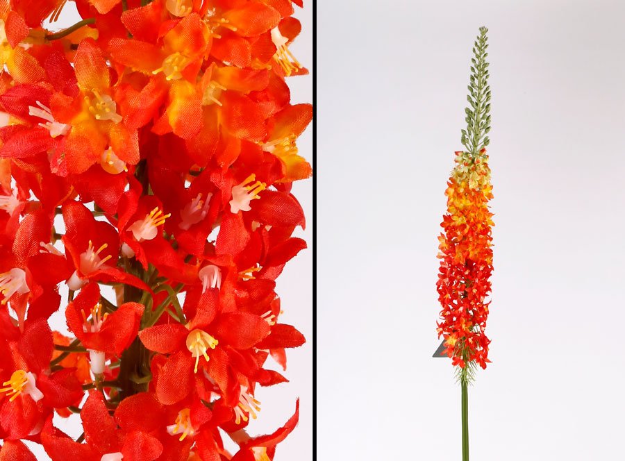 גבעול יקינטון – כתום – 146cm