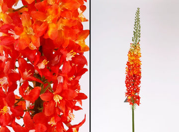 גבעול יקינטון – כתום – 146cm