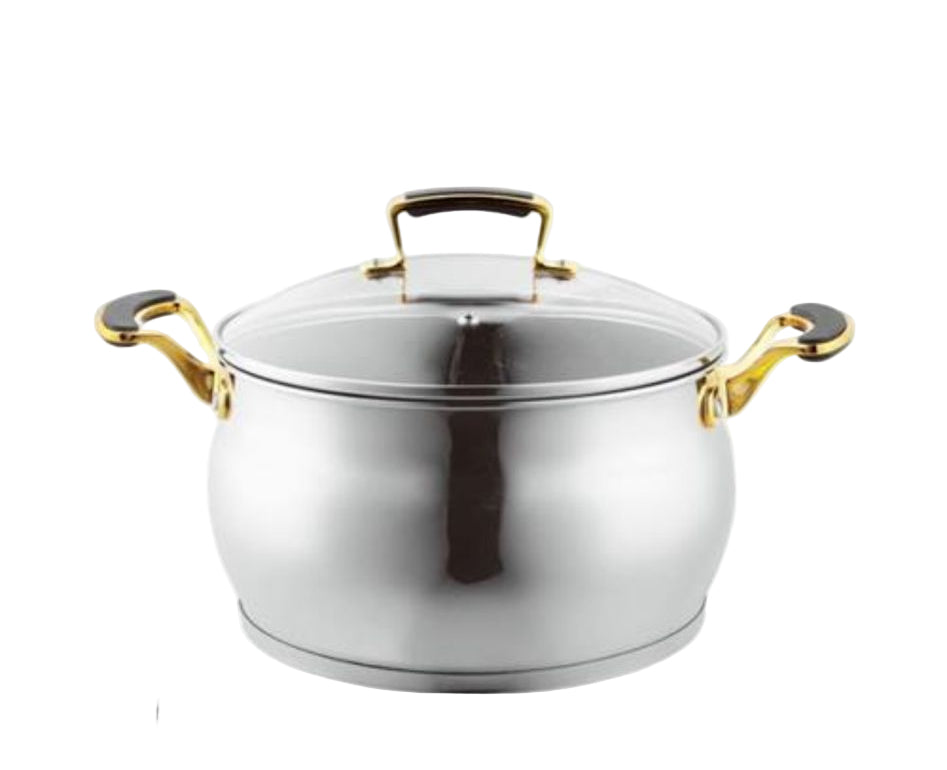 סיר נירוסטה בציפוי נון סטיק בצבע כסף וידיות זהב 2.7L