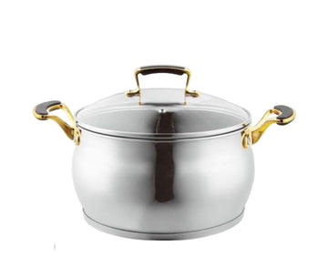 סיר נירוסטה בציפוי נון סטיק בצבע כסף וידיות זהב 2.7L