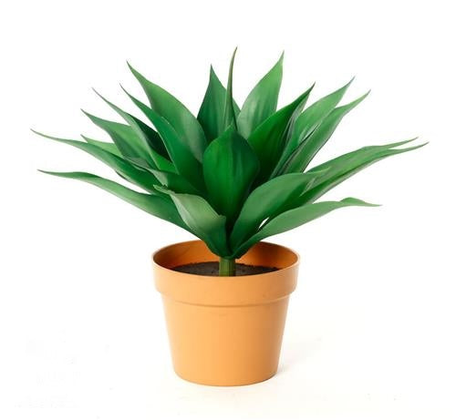 עציץ אלוורה - 40cm
