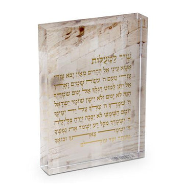 מעמד אקריליק שיר למעלות 15X3X20 לשילוב אלגנטי בשגרת הבית