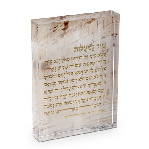 מעמד אקריליק שיר למעלות 15X3X20 לשילוב אלגנטי בשגרת הבית
